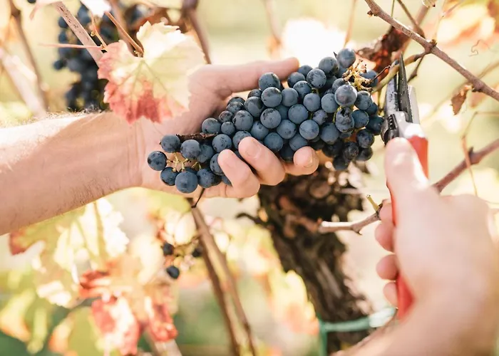 Relais Roncolo 1888 - Small Luxury Of The World *